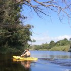 Kayak Rentals 02 Kayak Rentals 02